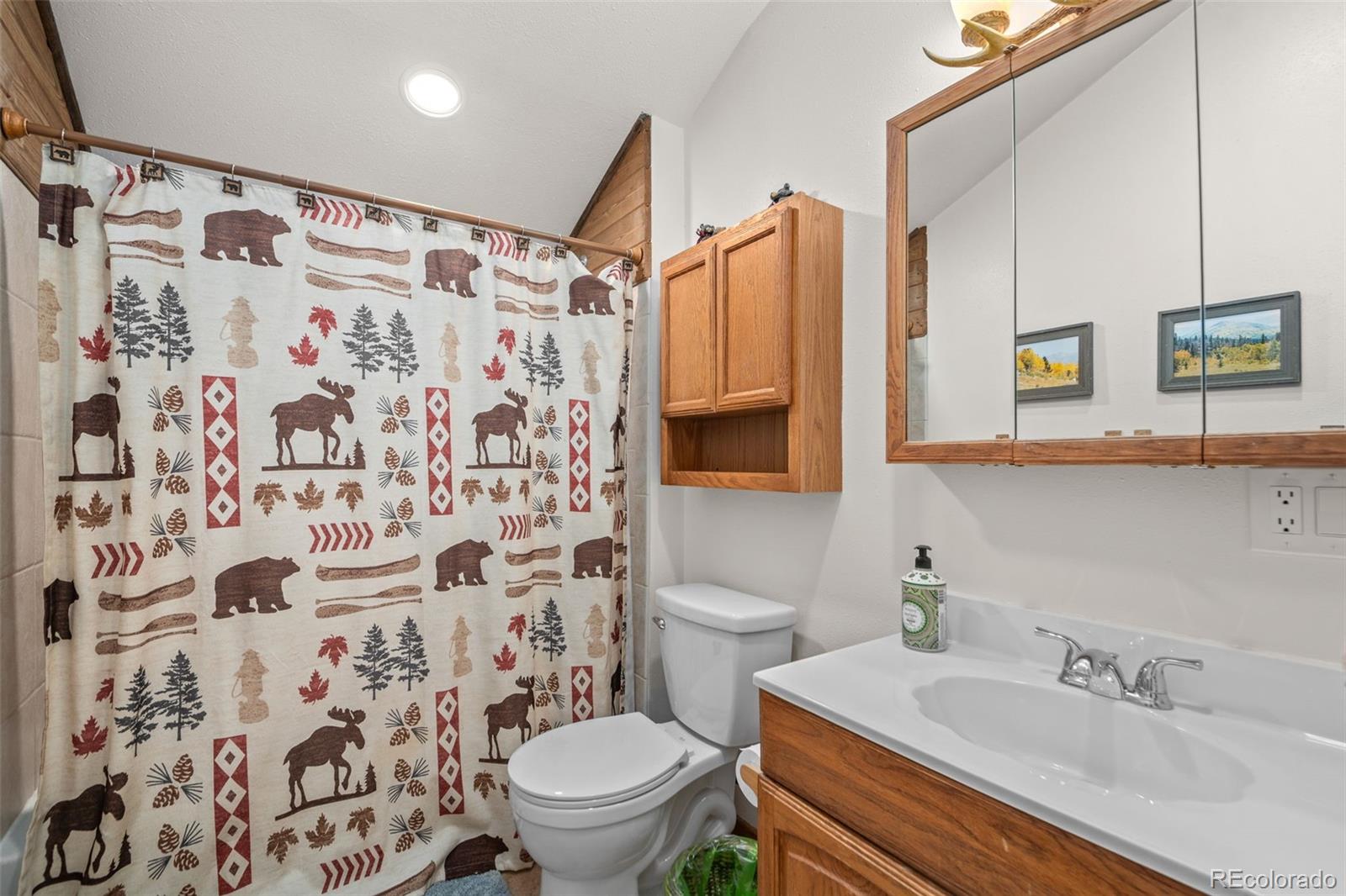 838 Silver Creek Road Idaho Springs, CO 80452 - Photo 11 of 29 a bathroom with a sink and a mirror