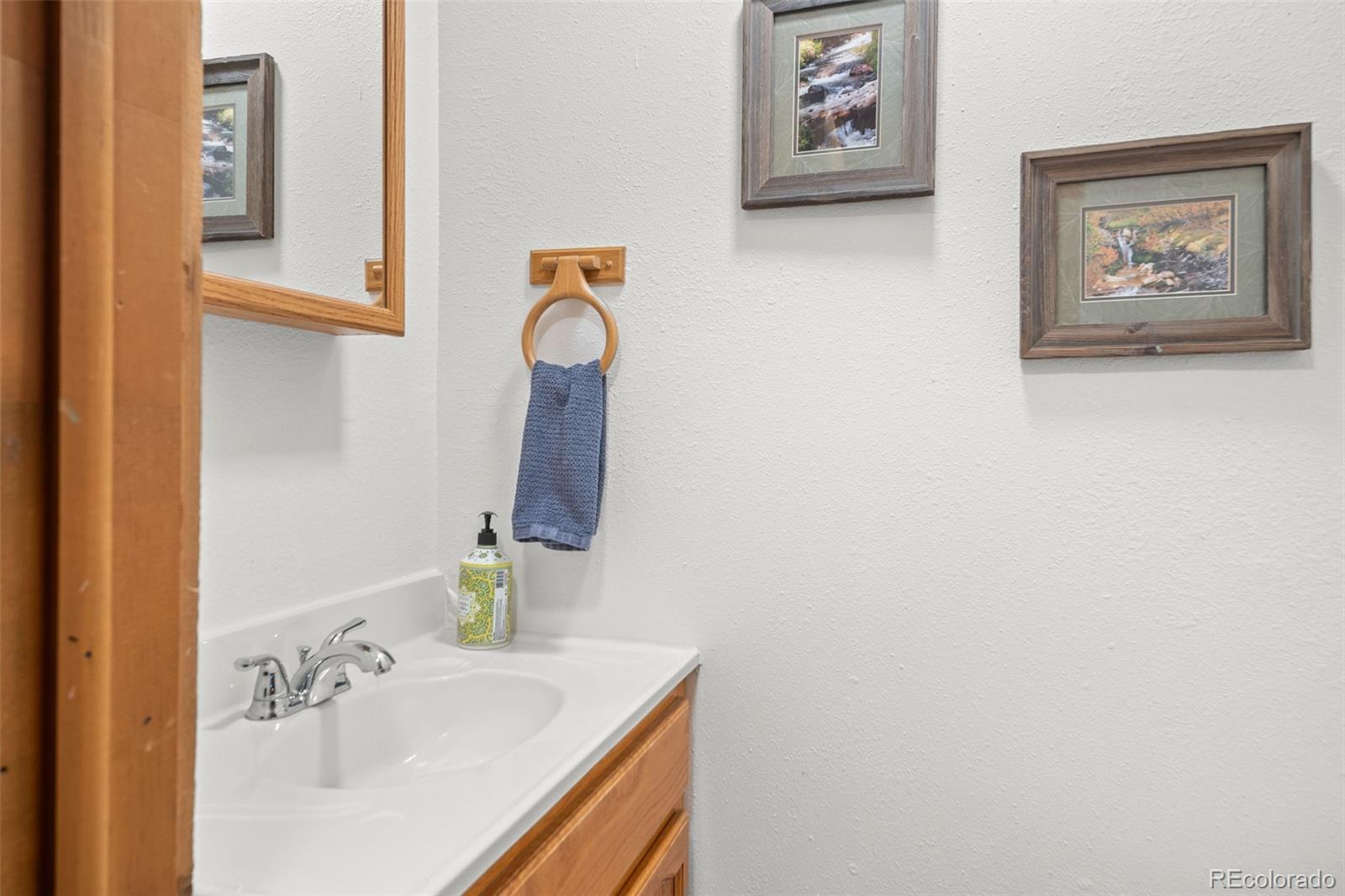 838 Silver Creek Road Idaho Springs, CO 80452 - Photo 12 of 29 a bathroom with a sink and a mirror