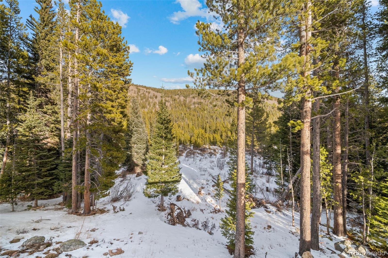 838 Silver Creek Road Idaho Springs, CO 80452 - Photo 17 of 20