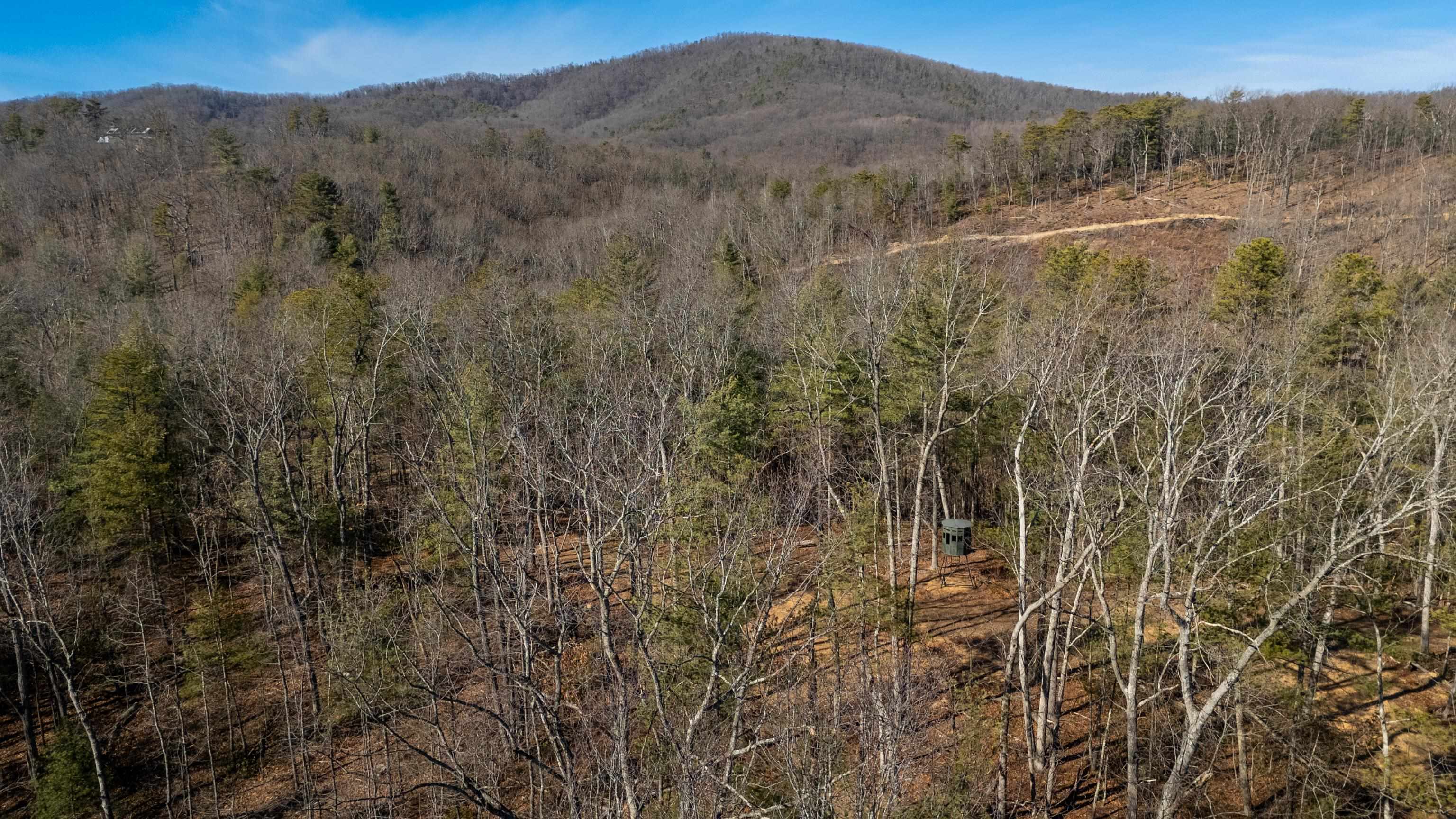 24.97-ac Stribling Springs Road Mount Solon, VA 22843 - Photo 15 of 34 a view of a forest with a mountain in the background