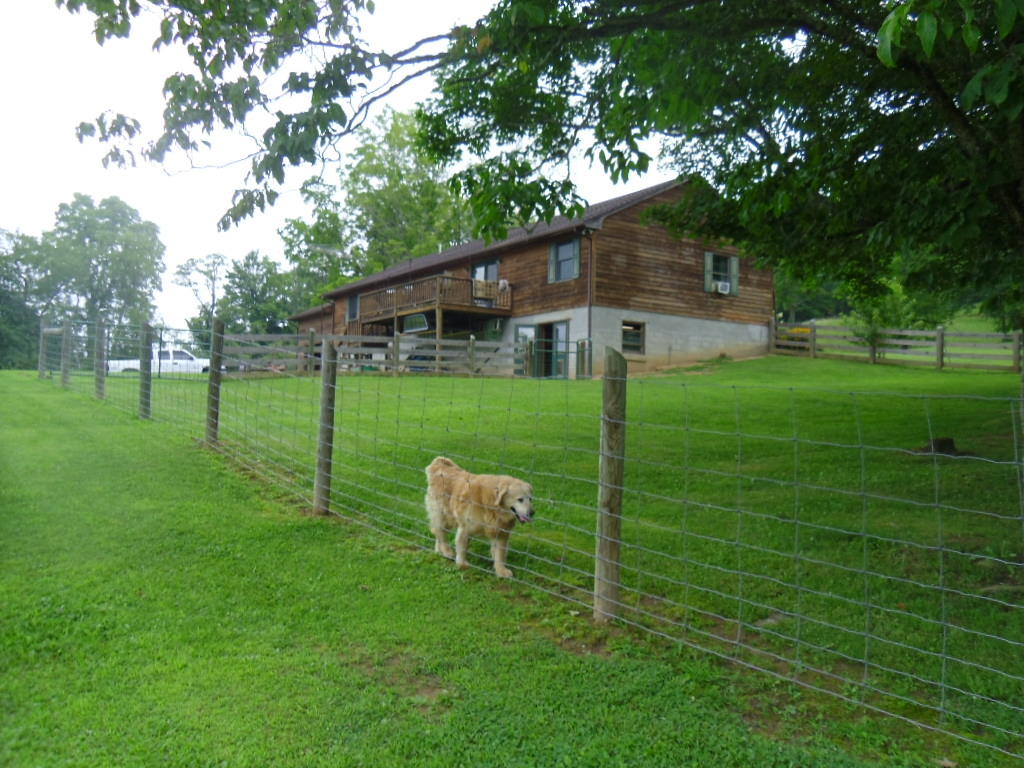 1475 Leonard Long Road Renick, WV 24966 - Photo 32 of 37 Gallery Image 32
