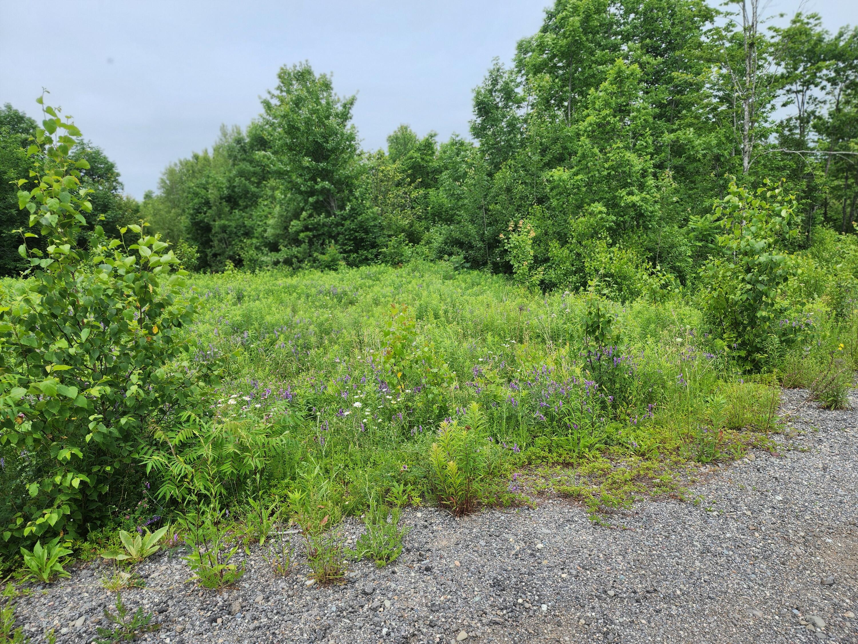 213 Moose Hl Road Ellsworth, ME 04605 - Photo 10 of 34 20250701_112839
