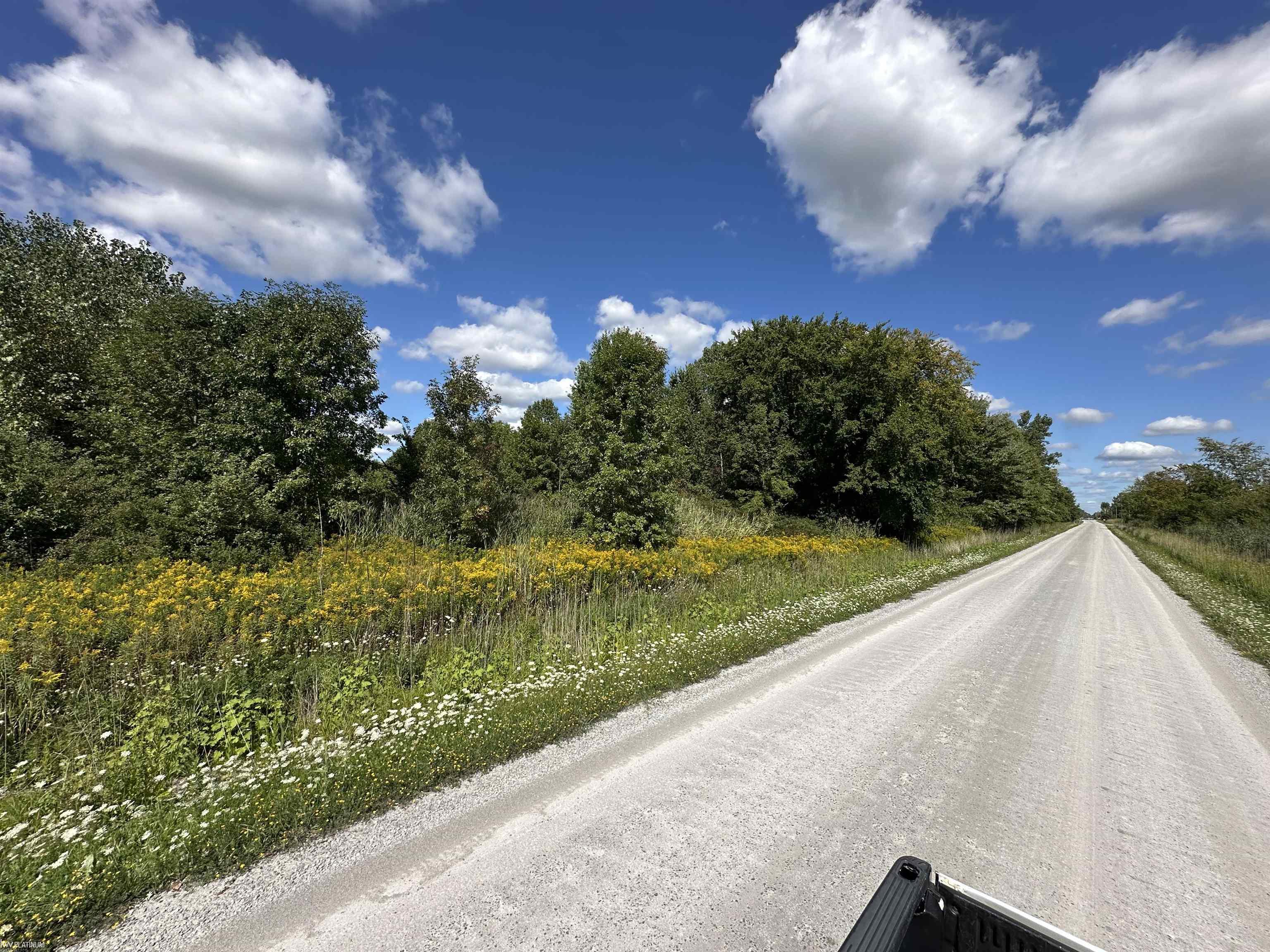 0 Plank Road Marine City, MI 48039 - Photo 2 of 6 50188000-0c29c073-4497-4dfc-ba59-770bb70d0381.JPG