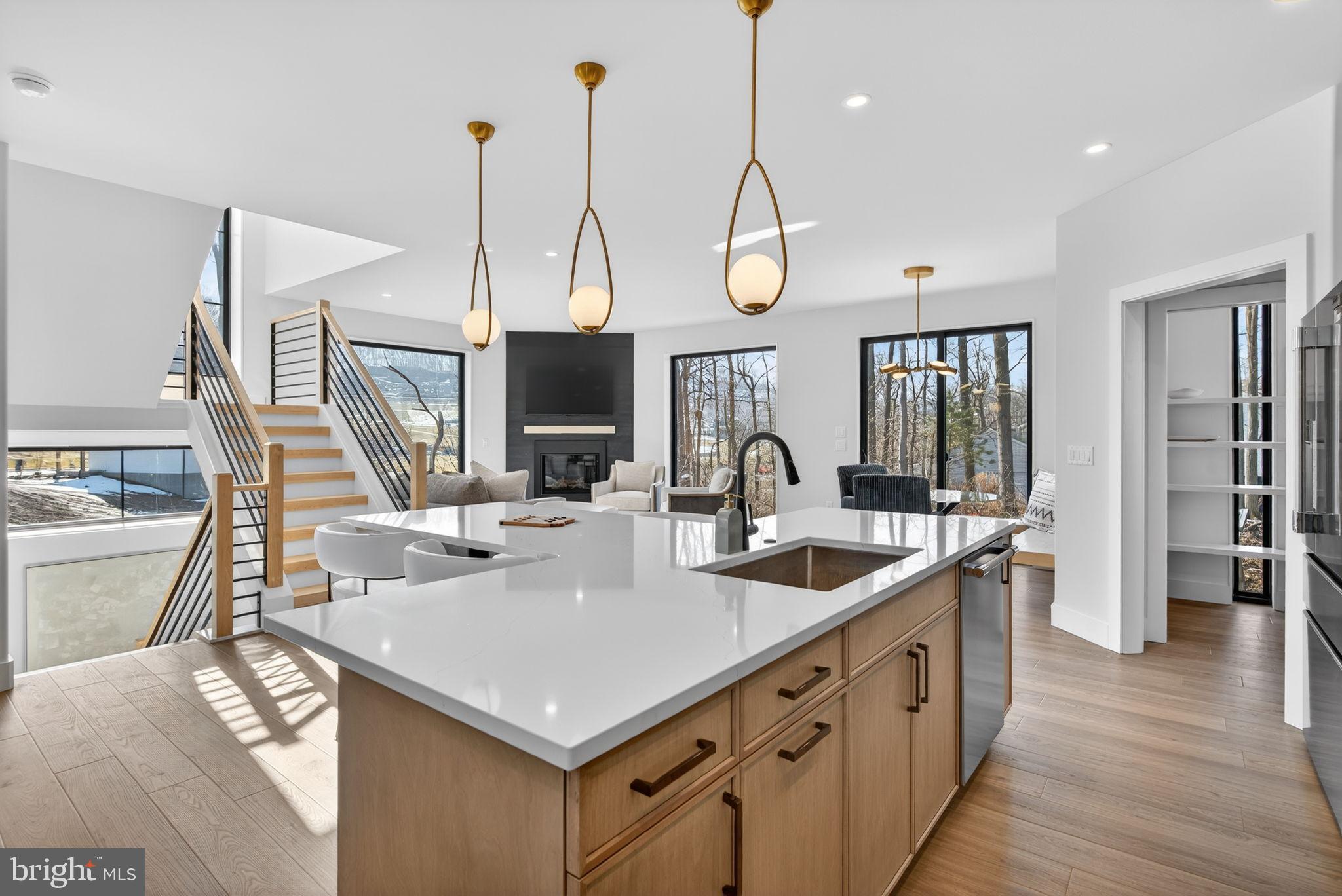 Anvil Model Lot #4 Anvil Model, Unit 4 Womelsdorf, PA 19567 - Photo 13 of 68 Modern elegance meets natural light.