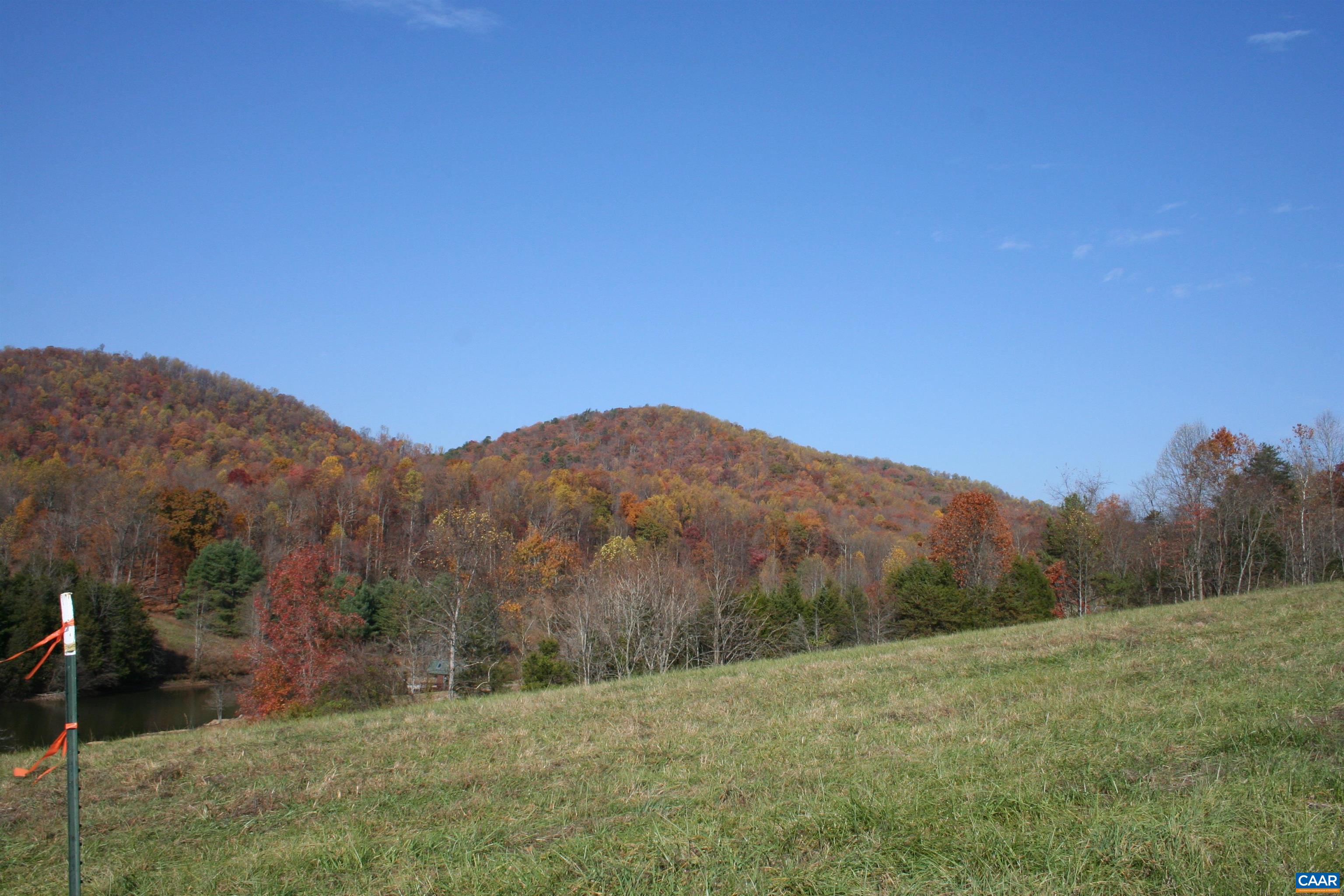 4382 Ruth Road, Unit B Madison, VA 22727 - Photo 54 of 61 a view of grassy field with mountain in the background