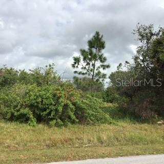 Perennial Rd Port North Port, FL 34291 - Photo 1 of 1