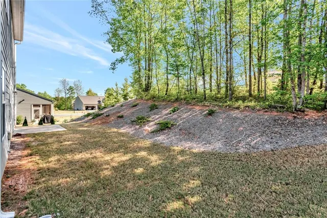a view of a yard with potted plants