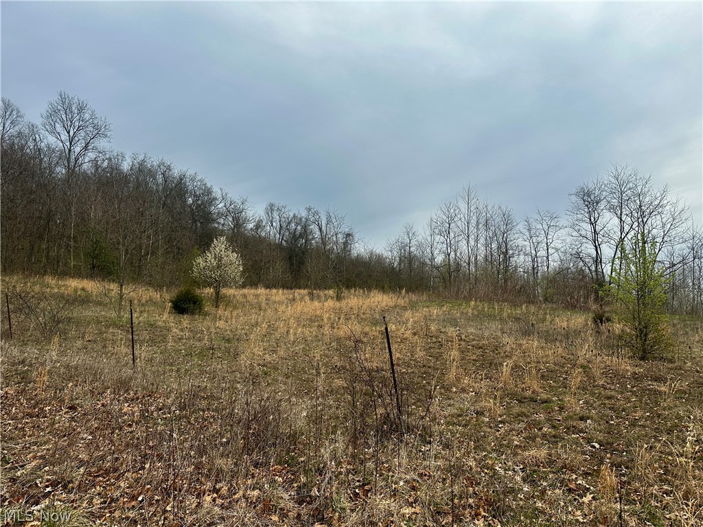 35840 Swan Road Long Bottom, OH 45743 - Photo 15 of 23