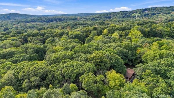 51 Leslie Road Newburgh, NY 12550 - Photo 6 of 44 Gallery Image 6