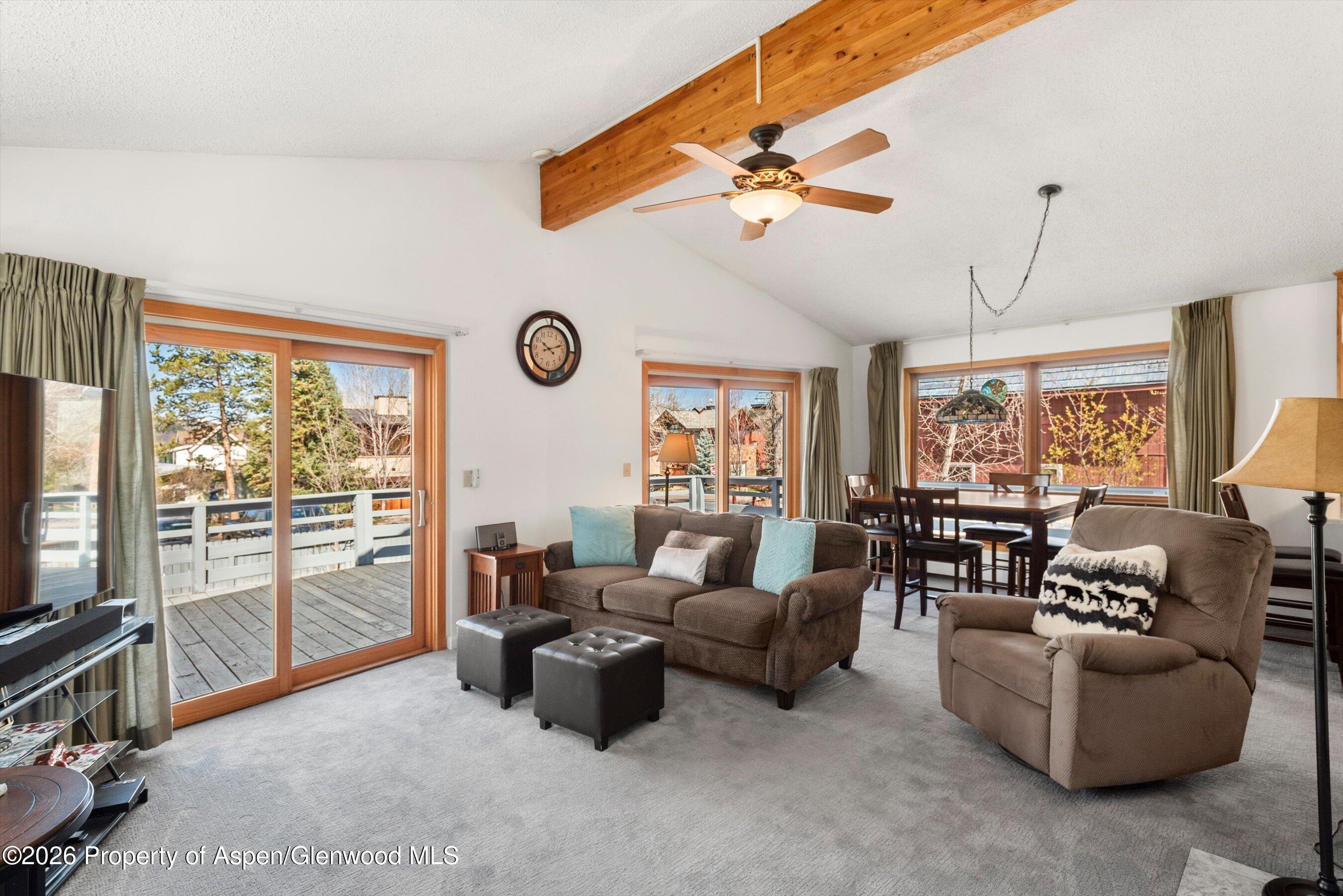 53 Spruce Street, Unit S 1 AND 2 Aspen, CO 81611 - Photo 2 of 67 01-01-534SpruceSt_250429001