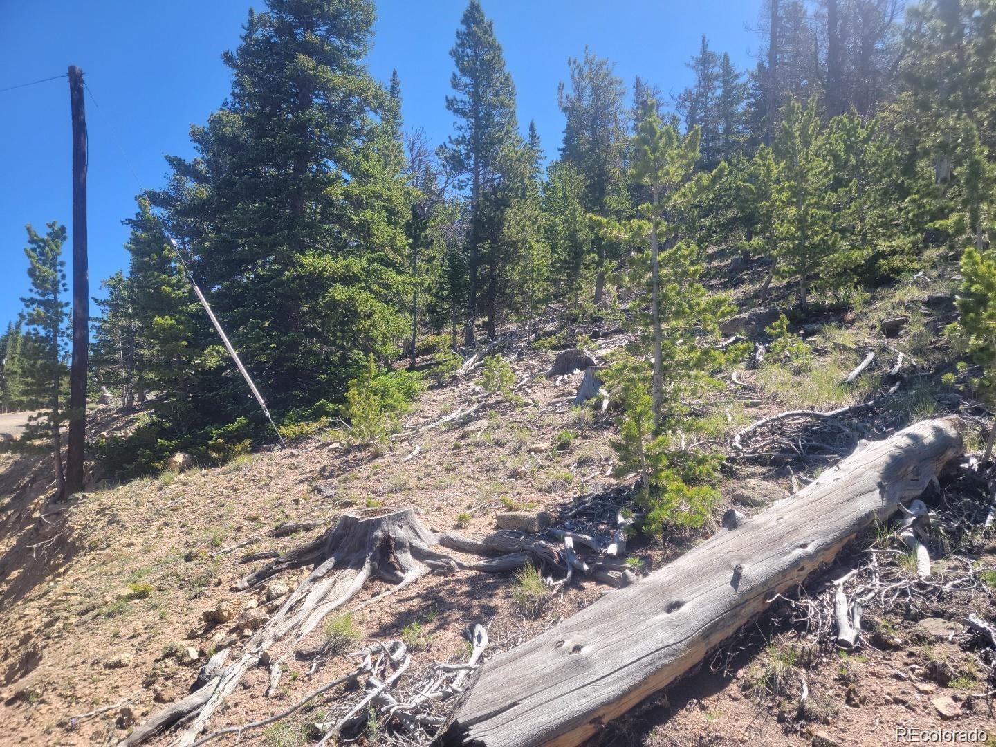 Mine Road Idaho Springs, CO 80452 - Photo 3 of 6