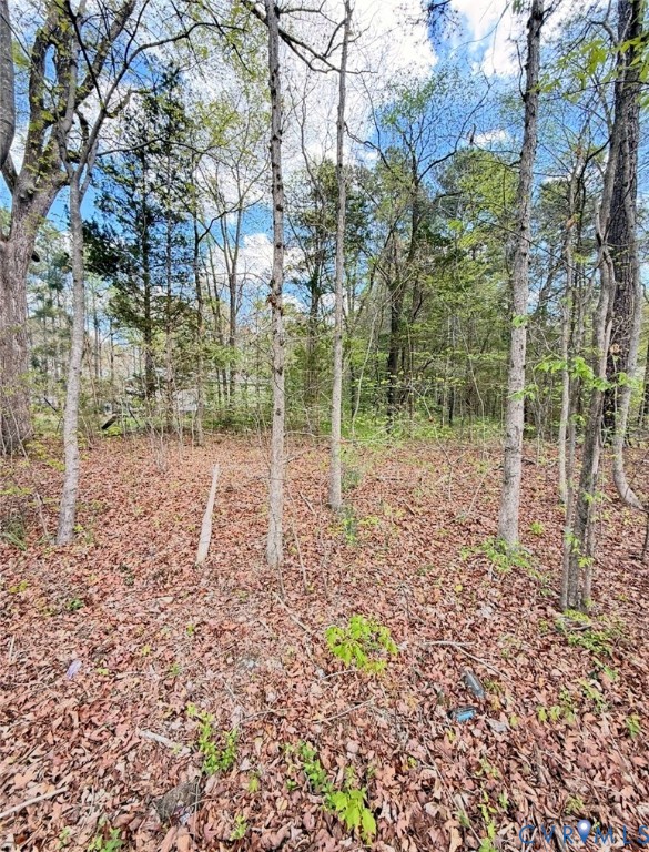 0 Cedar Grove Road Lawrenceville, VA 23868 - Photo 3 of 4