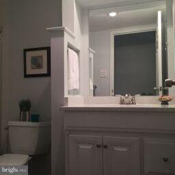 11236 Chestnut Grove Square, Unit 261 Reston, VA 20190 - Photo 20 of 30 a bathroom with a sink and a toilet