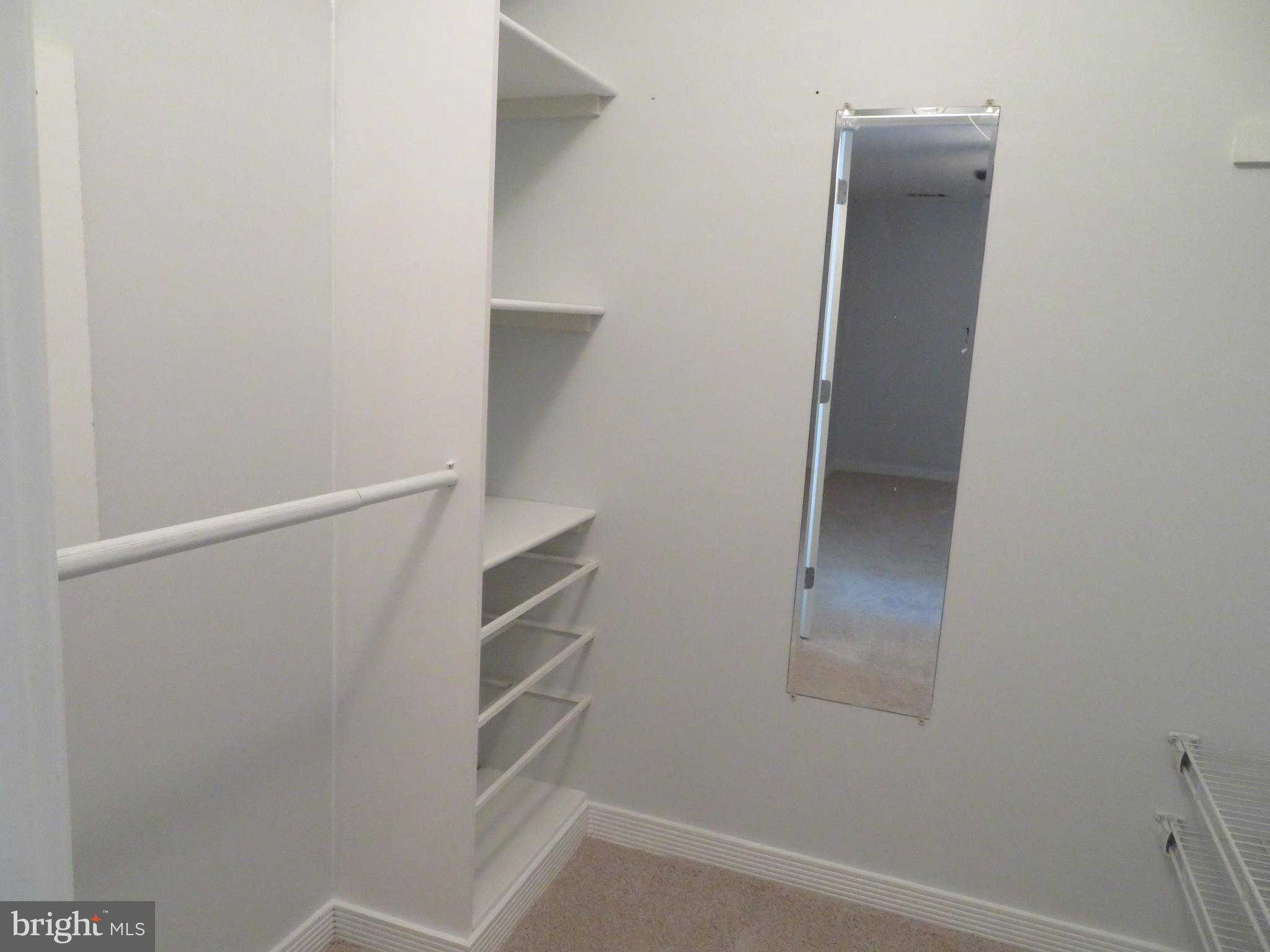 11236 Chestnut Grove Square, Unit 261 Reston, VA 20190 - Photo 28 of 30 a view of walk in closet