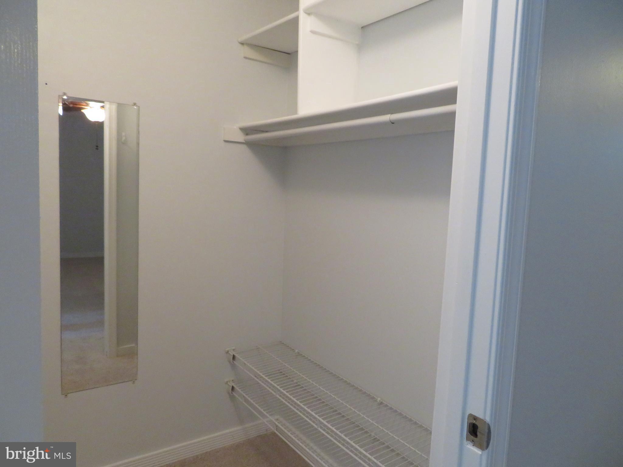 11236 Chestnut Grove Square, Unit 261 Reston, VA 20190 - Photo 29 of 30 a view of closet
