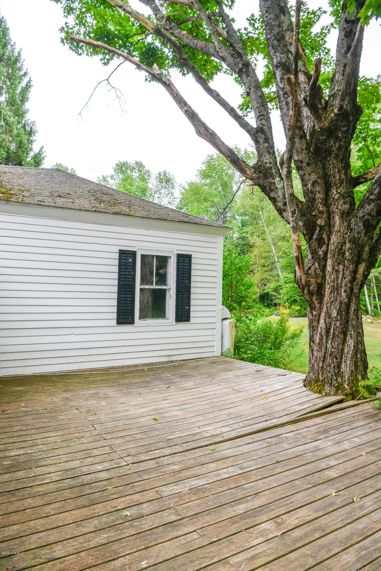 191 North Beech Plain Road Sandisfield, MA 01255 - Photo 50 of 54 a view of a white house with a large tree
