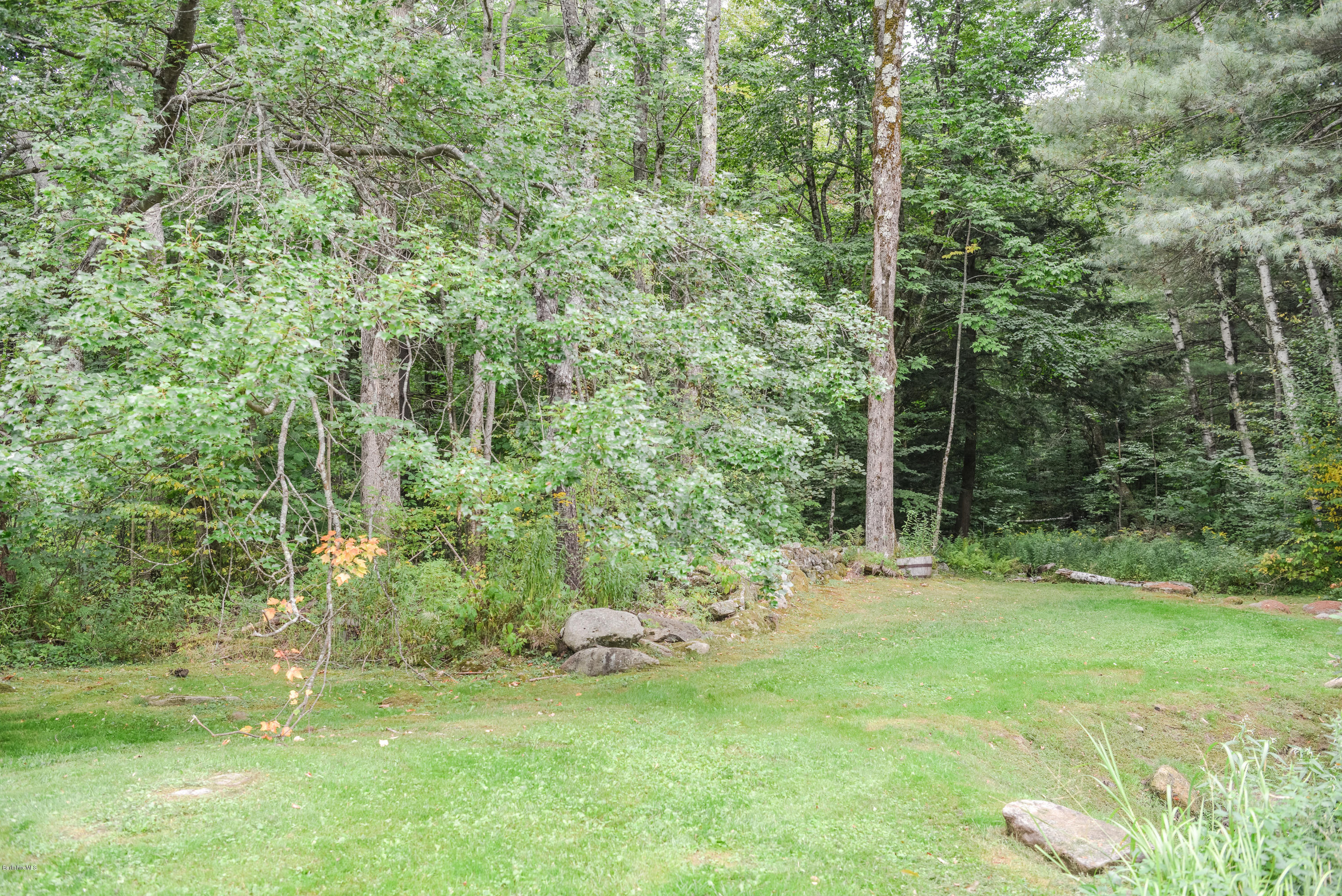 191 North Beech Plain Road Sandisfield, MA 01255 - Photo 8 of 54 a big yard with lots of green space and plants