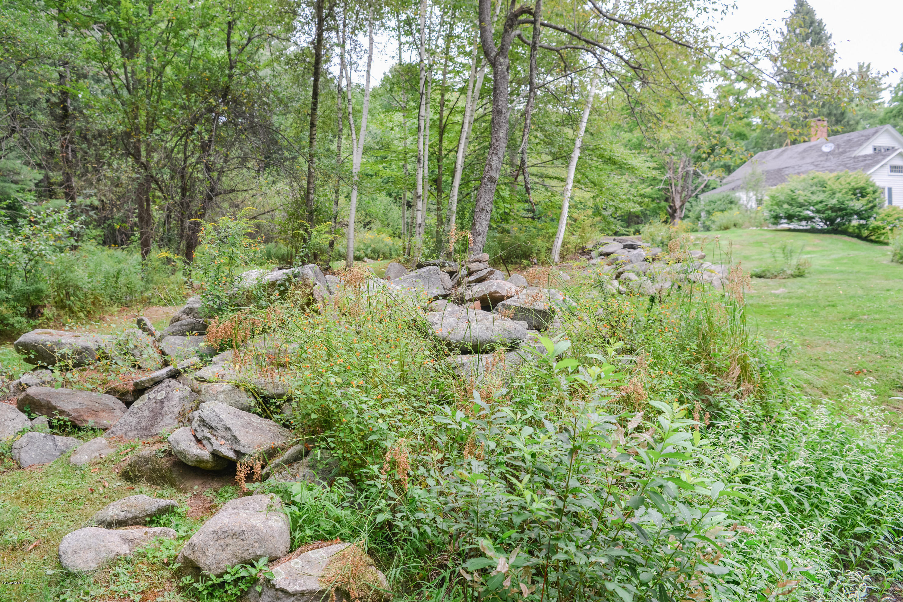 191 North Beech Plain Road Sandisfield, MA 01255 - Photo 9 of 54 a backyard of a house with lots of green space