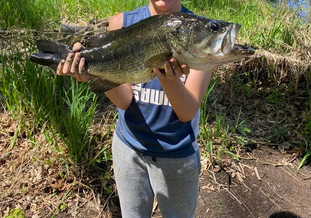 $582,900 | 10652 Nugent Avenue Northeast, Rockford, MI 49341