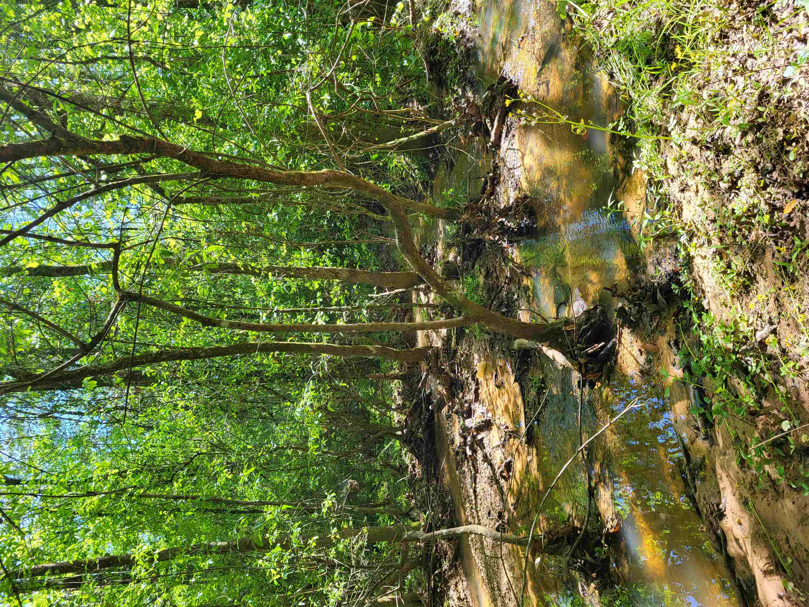 800 Florida Line Road Quincy, FL 32352 - Photo 2 of 4