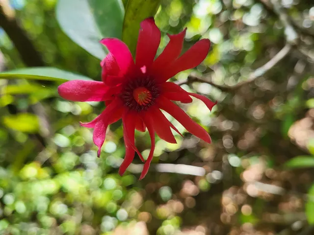 $49,900 | 800 Florida Line Road, Quincy, FL 32352