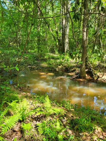 $49,900 | 800 Florida Line Road, Quincy, FL 32352