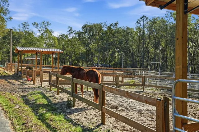 $899,000 | 16000 Sam C Road, Brooksville, FL 34613