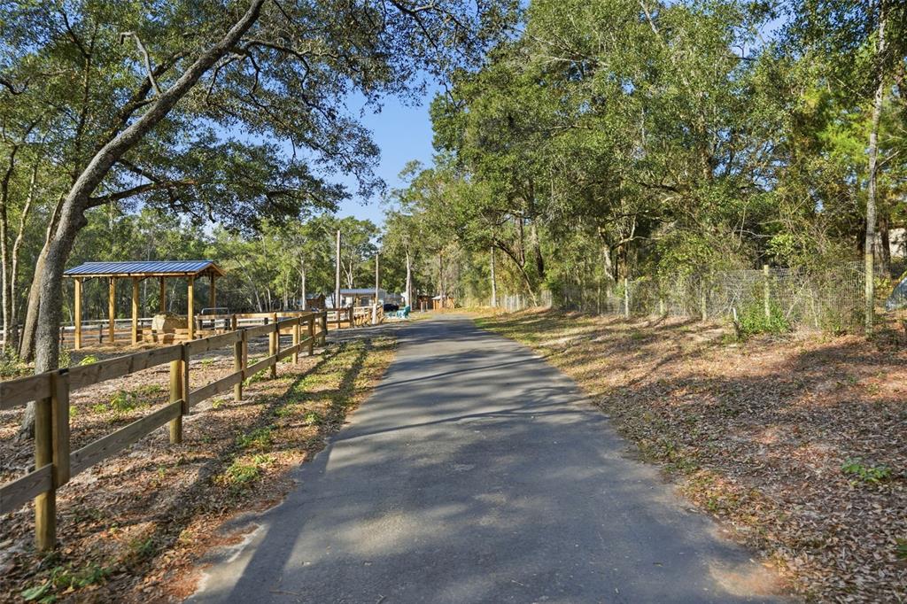 16000 Sam C Road Brooksville, FL 34613 - Photo 17 of 85