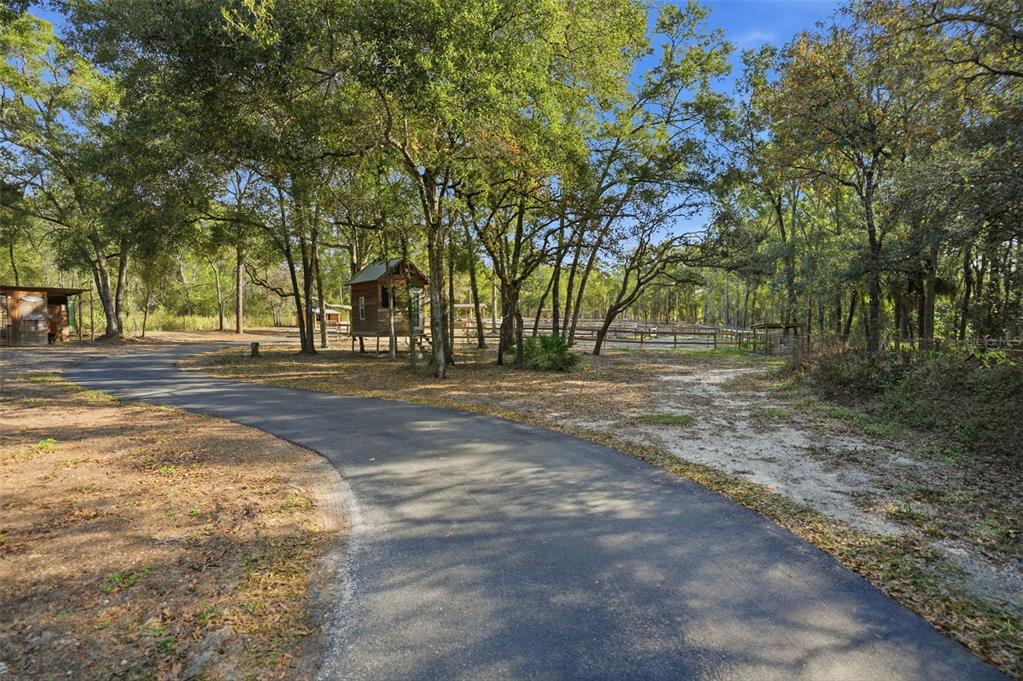 16000 Sam C Road Brooksville, FL 34613 - Photo 18 of 85