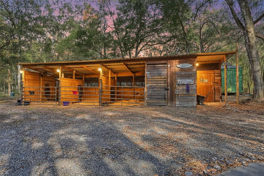 16000 Sam C Road Brooksville, FL 34613 - Photo 4 of 85