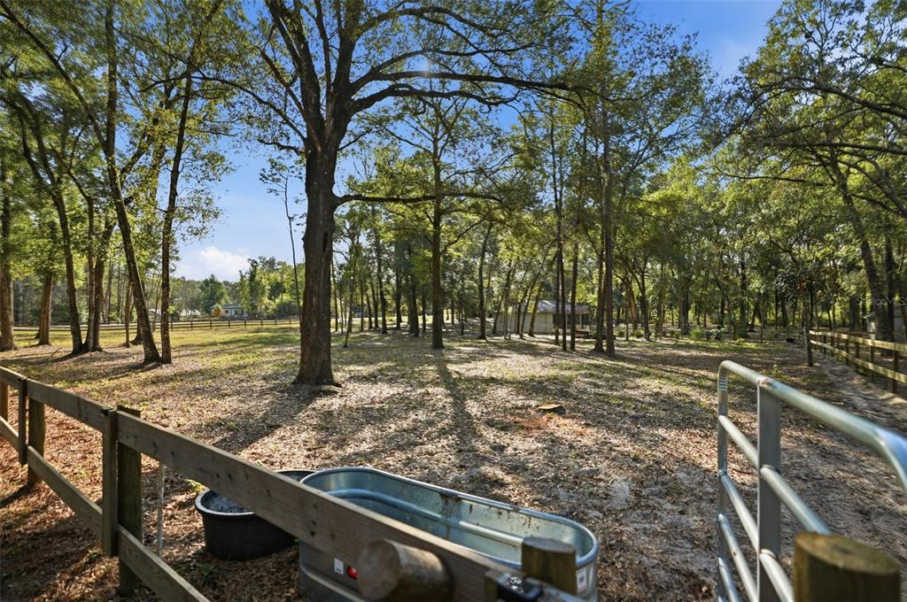 16000 Sam C Road Brooksville, FL 34613 - Photo 67 of 85