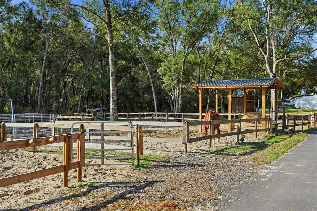 16000 Sam C Road Brooksville, FL 34613 - Photo 72 of 85