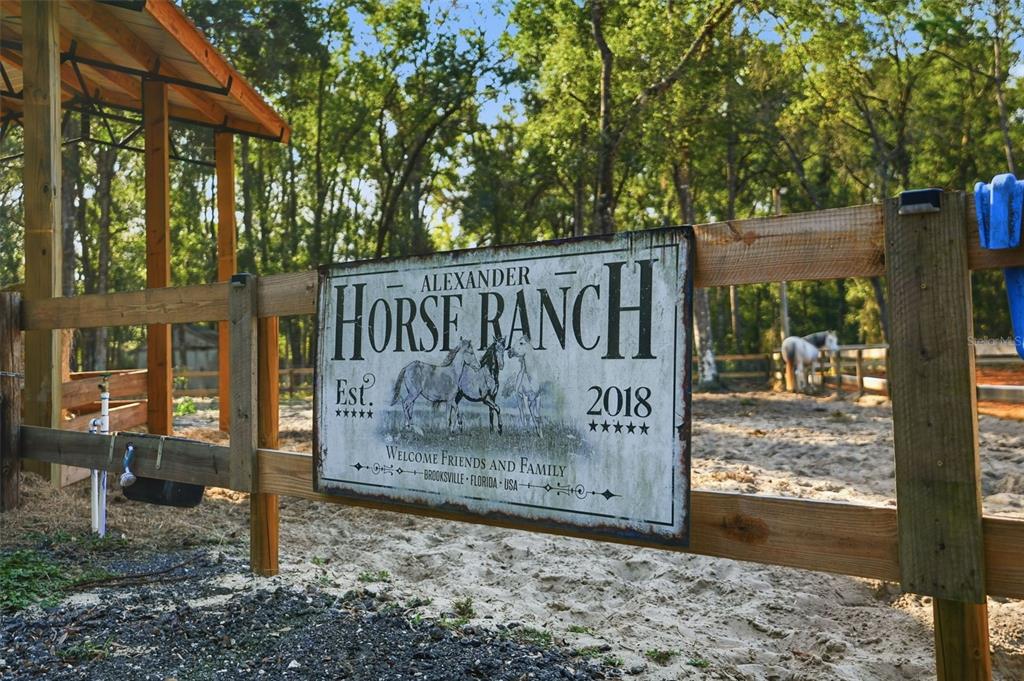 16000 Sam C Road Brooksville, FL 34613 - Photo 73 of 85