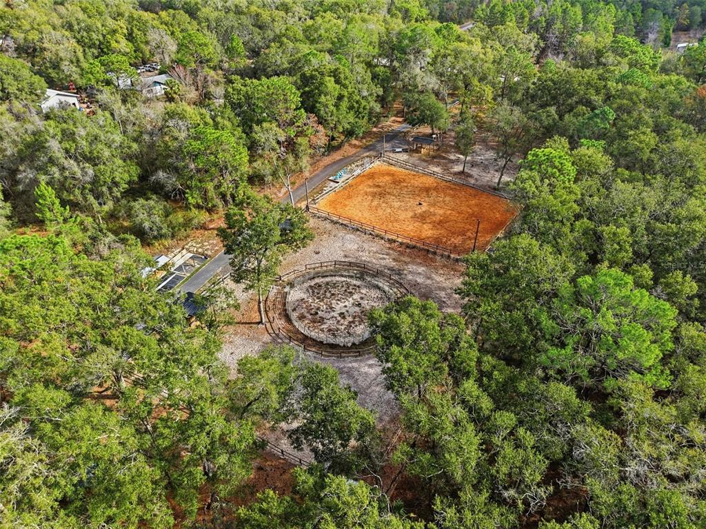 16000 Sam C Road Brooksville, FL 34613 - Photo 80 of 85