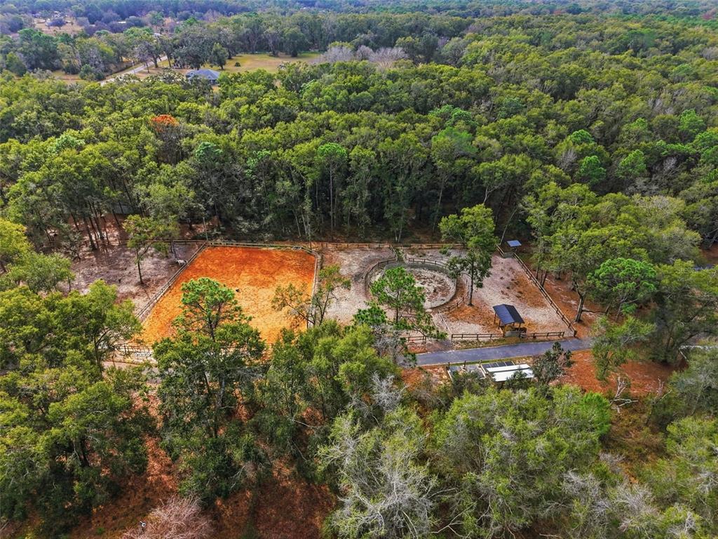 16000 Sam C Road Brooksville, FL 34613 - Photo 82 of 85