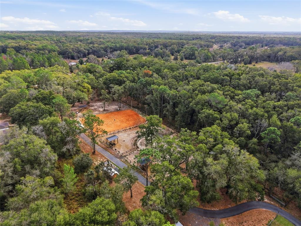 16000 Sam C Road Brooksville, FL 34613 - Photo 83 of 85