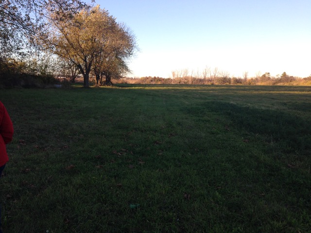 1028 East Delite Inn Road Beecher, IL 60401 - Photo 10 of 11 a view of an ocean