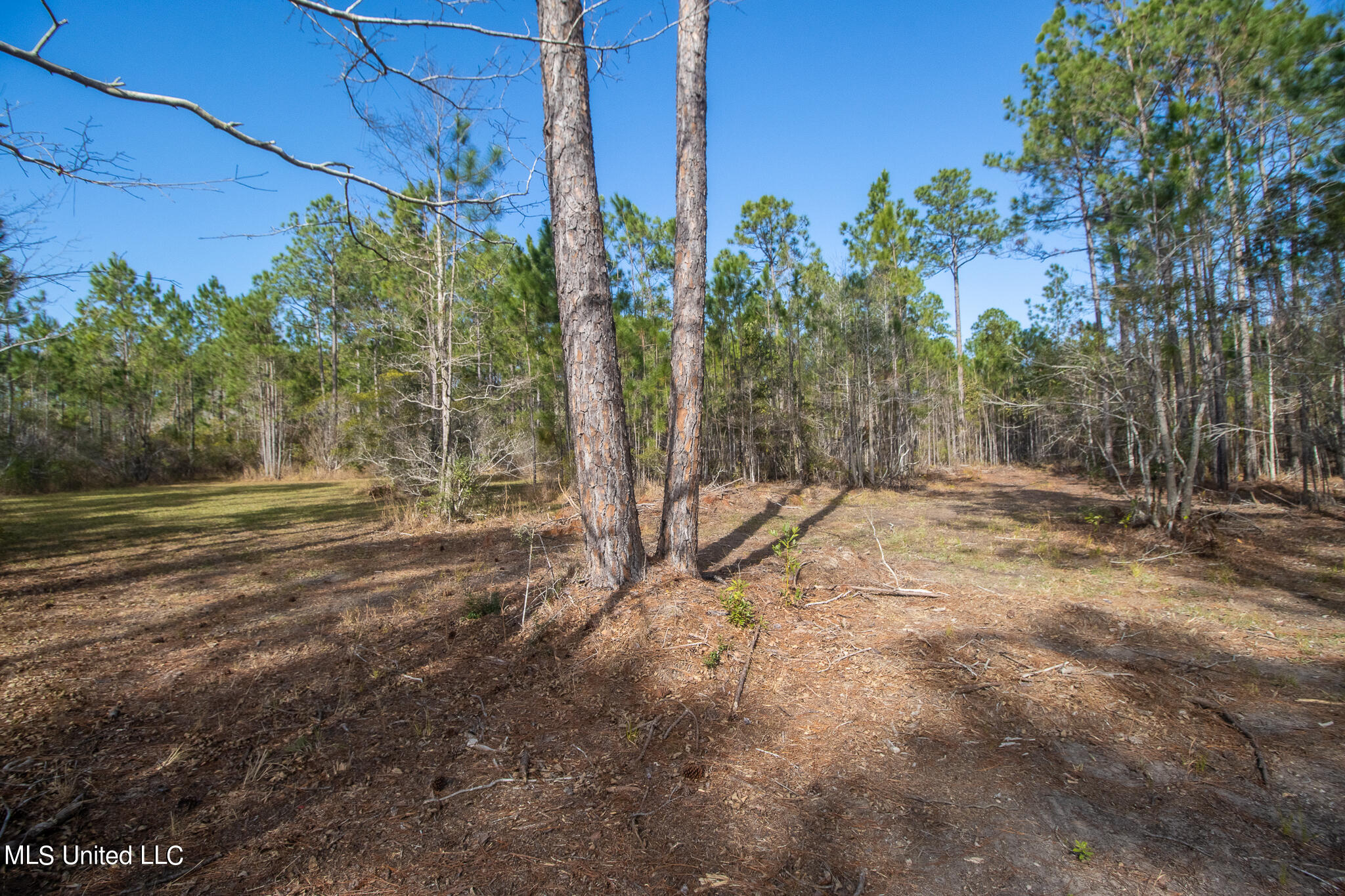10020 Old Road Bay St. Louis, MS 39520 - Photo 27 of 29 10020 Lower Bay Road-49029