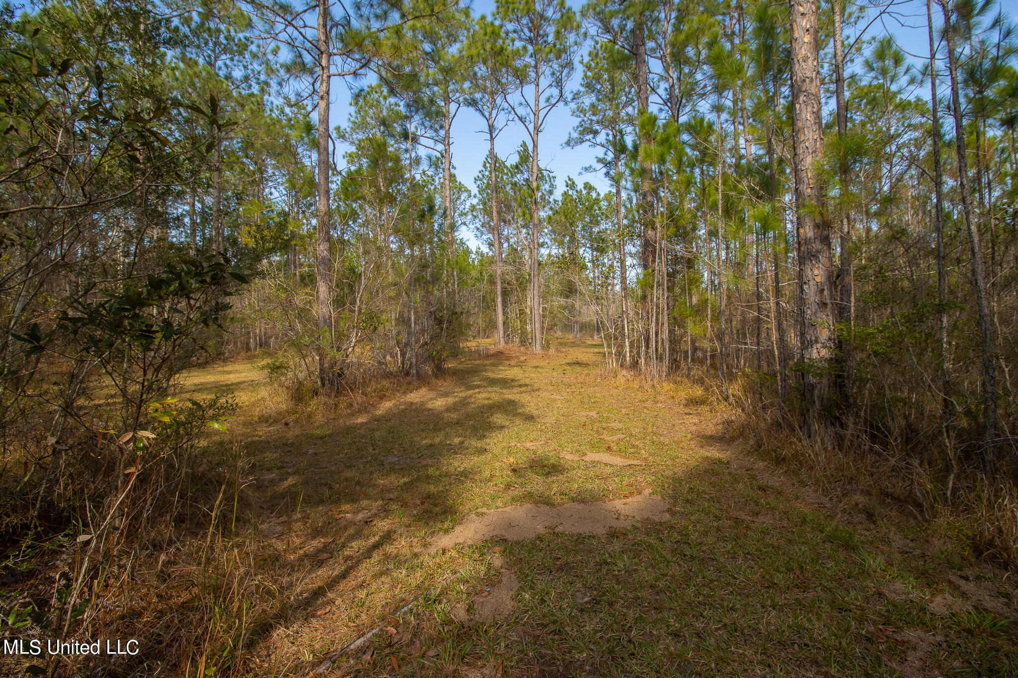 10020 Old Road Bay St. Louis, MS 39520 - Photo 28 of 29 10020 Lower Bay Road-49030