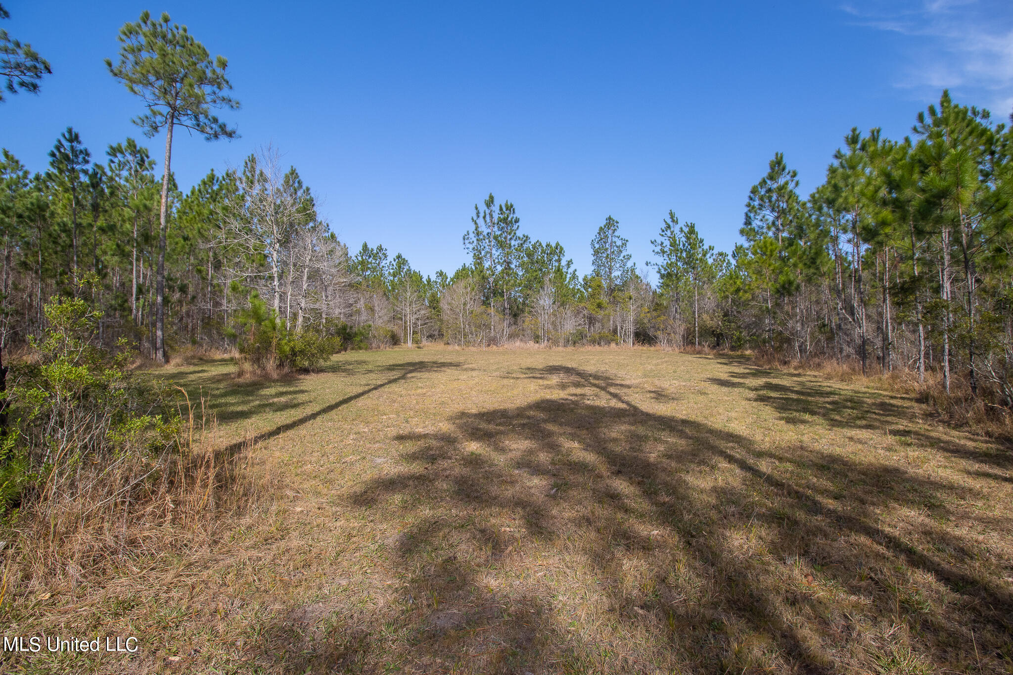 10020 Old Road Bay St. Louis, MS 39520 - Photo 29 of 29 10020 Lower Bay Road-49031