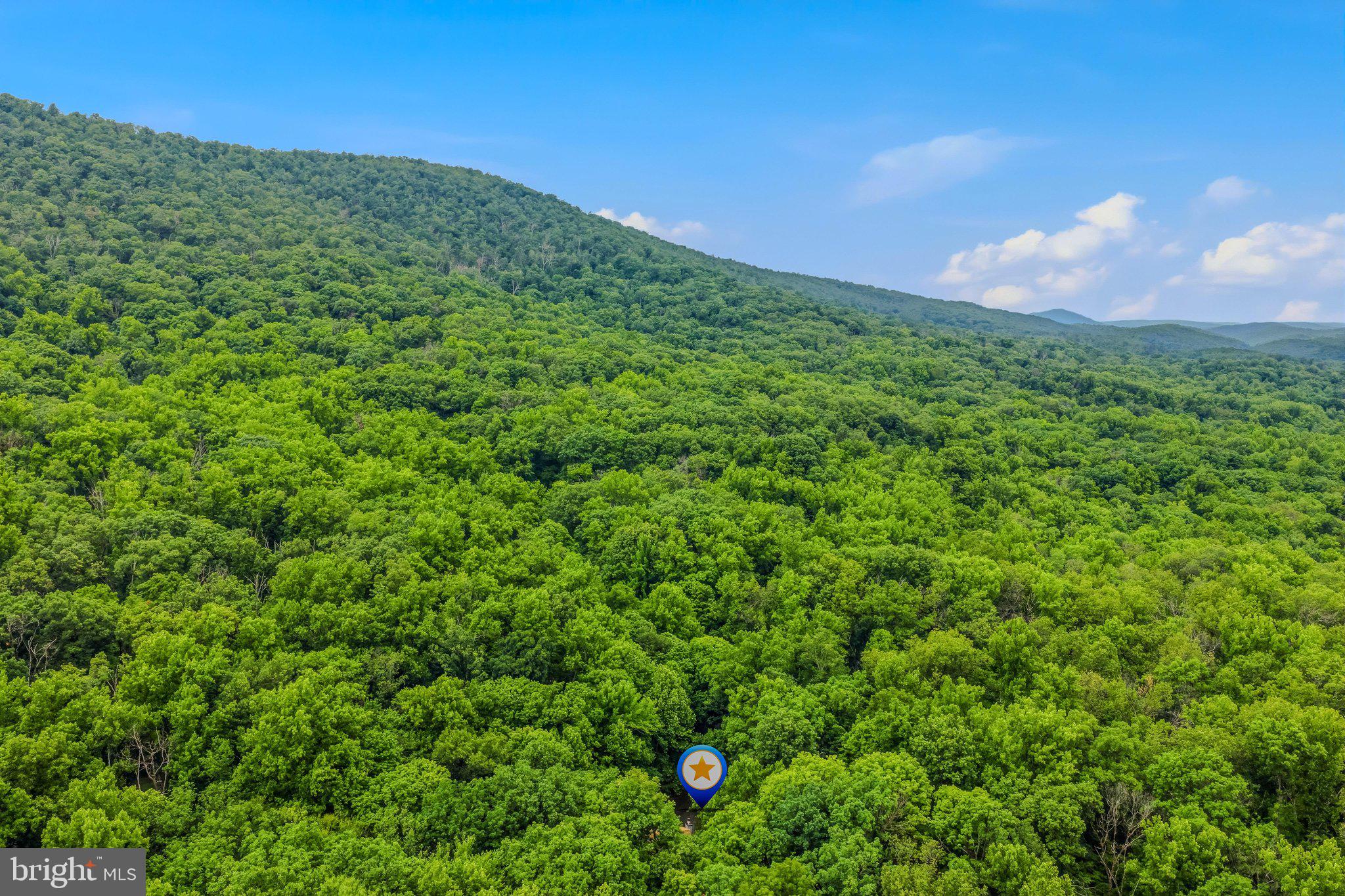 221 Mountainside Road Berkeley Springs, WV 25411 - Photo 40 of 53 Aerial View
