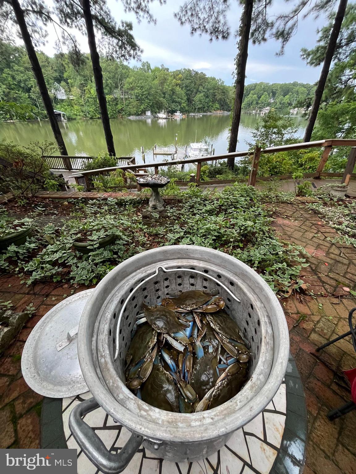 13140 Soundings Road Lusby, MD 20657 - Photo 3 of 81 Fresh blue crabs in the steamer!