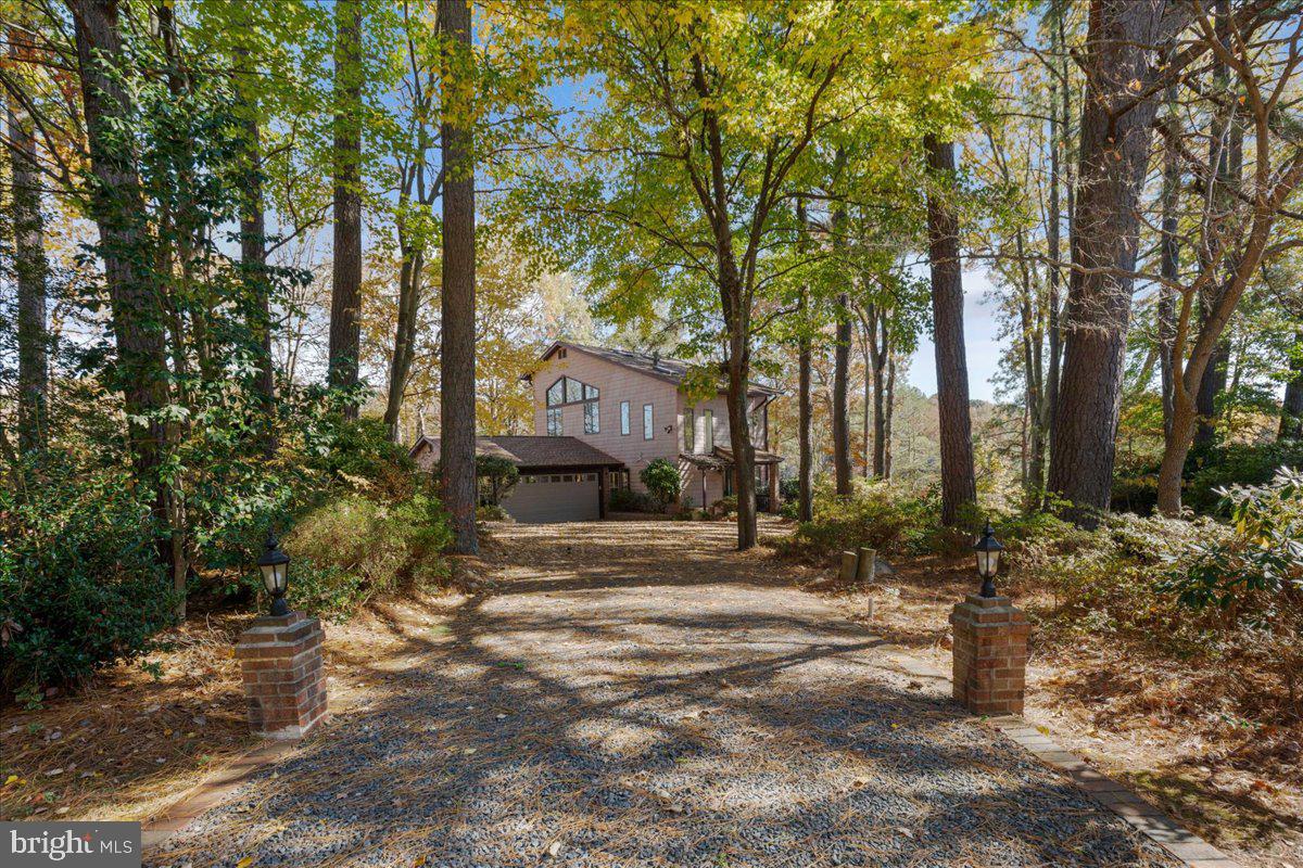 13140 Soundings Road Lusby, MD 20657 - Photo 6 of 81 Private driveway with beautiful established trees