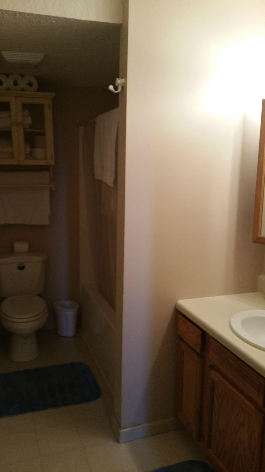 220 Stoker Ridge Road Jasper, TN 37347 - Photo 13 of 13 Basement Bathroom