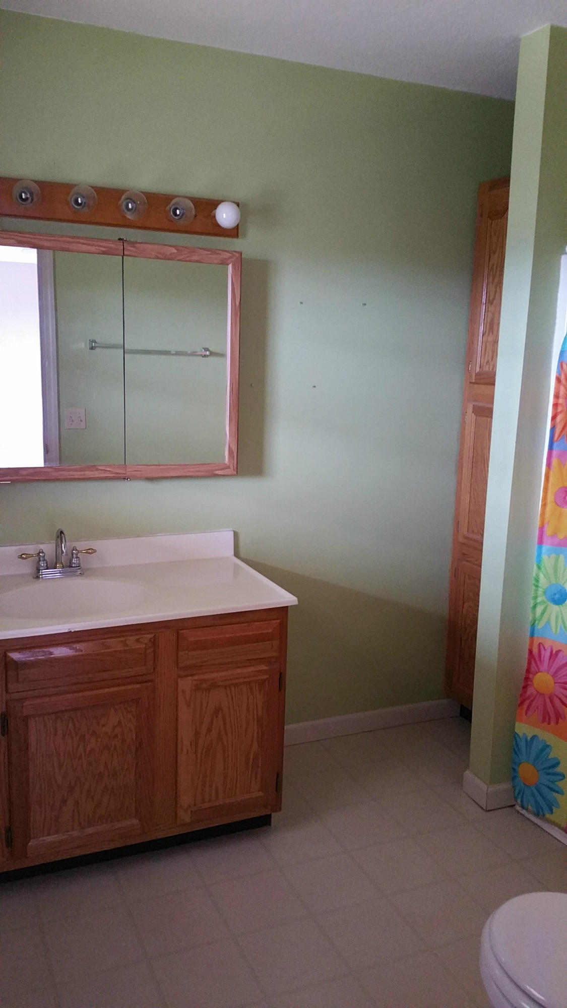 220 Stoker Ridge Road Jasper, TN 37347 - Photo 10 of 13 Master Bathroom