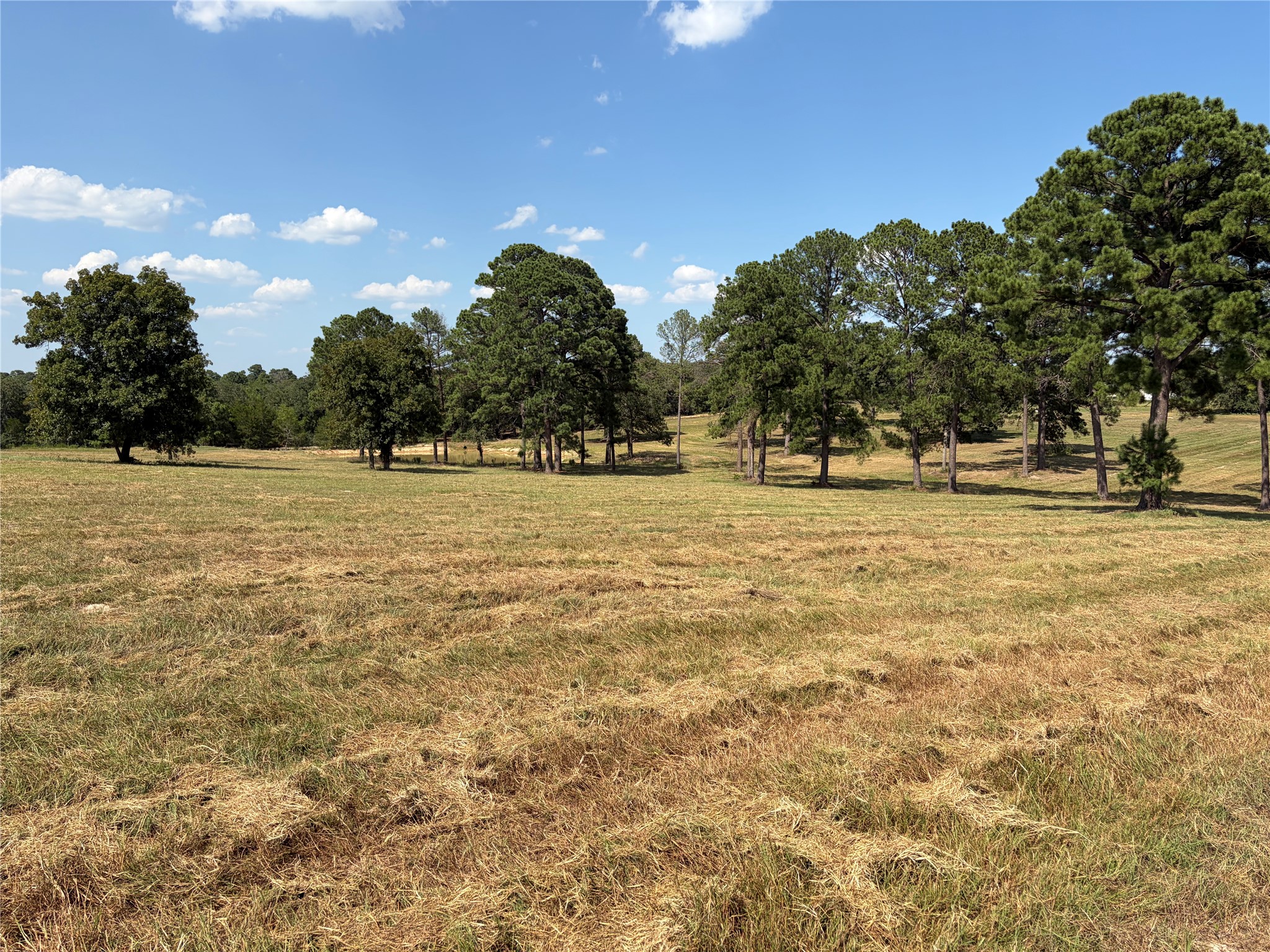 170 Split Oak Road Smithville, TX 78957 - Photo 19 of 31 A sprawling pastoral landscape offers a serene setting with mature trees dotting the horizon.