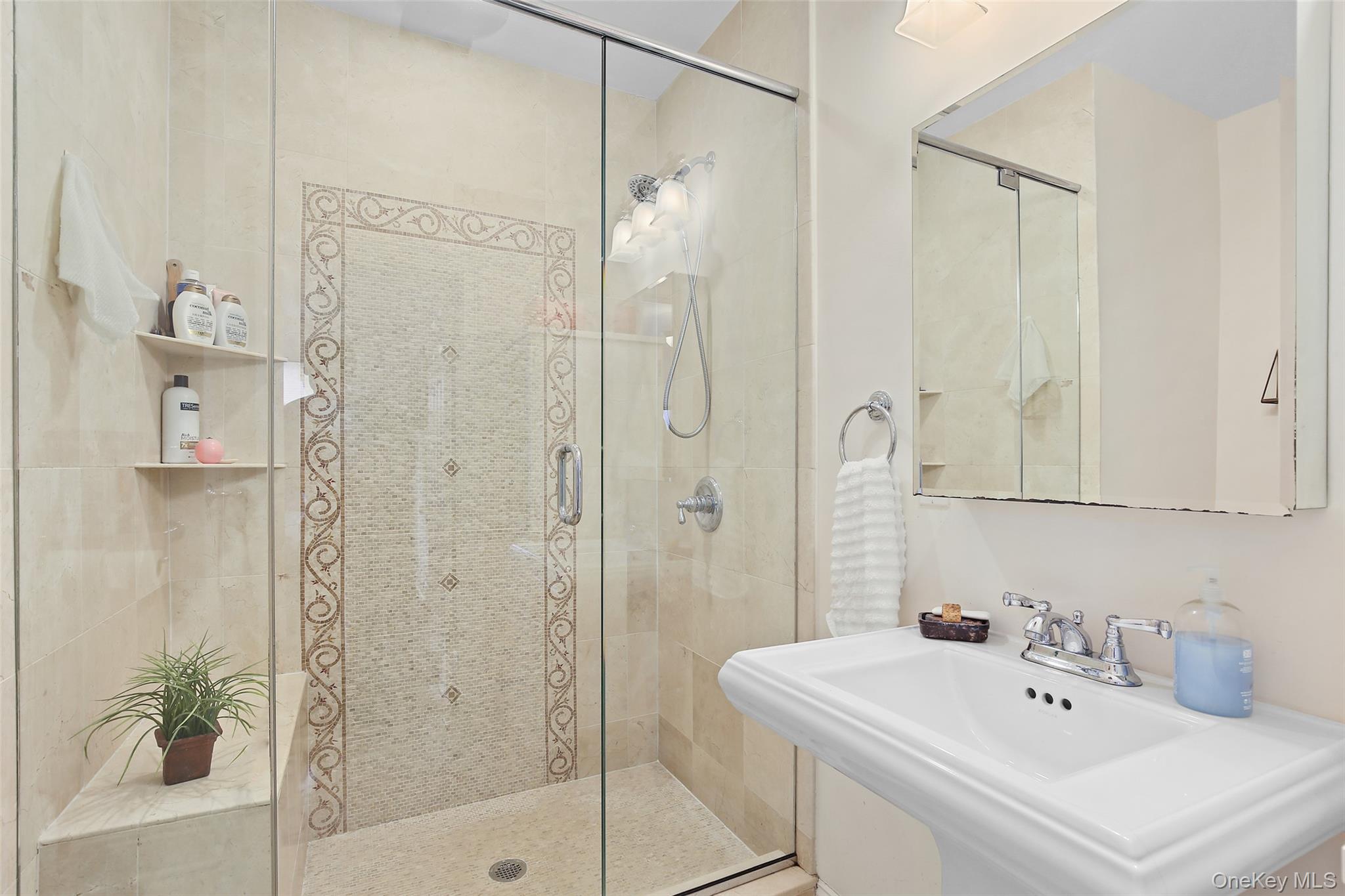 8 Goldwin Street Rye, NY 10580 - Photo 11 of 25 a bathroom with a shower a sink and a mirror