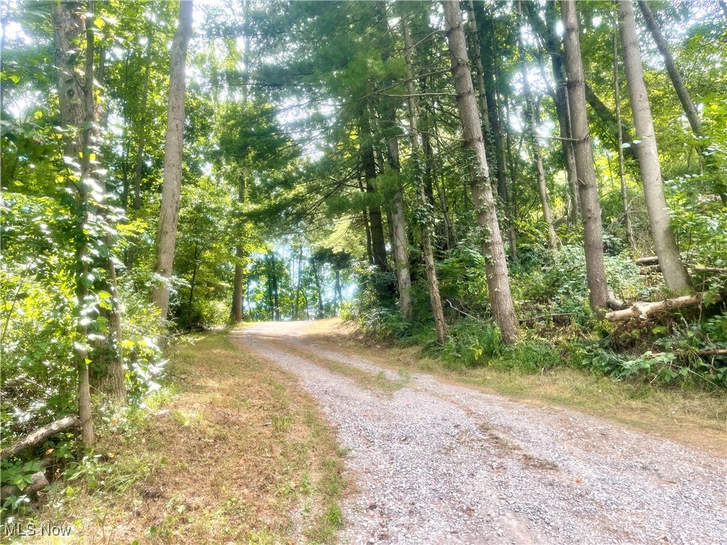 6518 Stonecreek Road Southwest Newcomerstown, OH 43832 - Photo 36 of 42 Woods