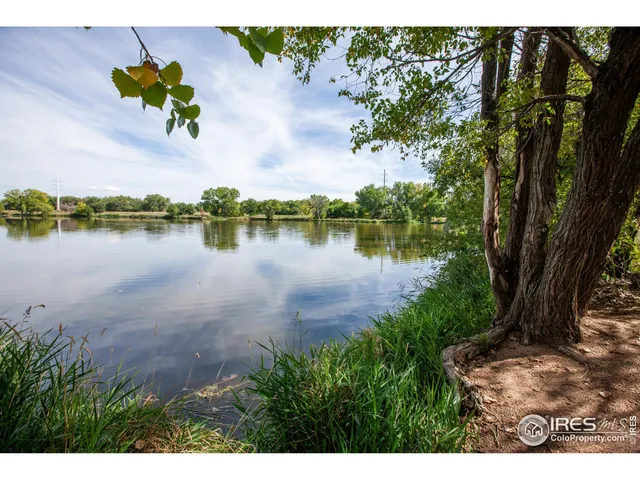 a view of a lake with a garden