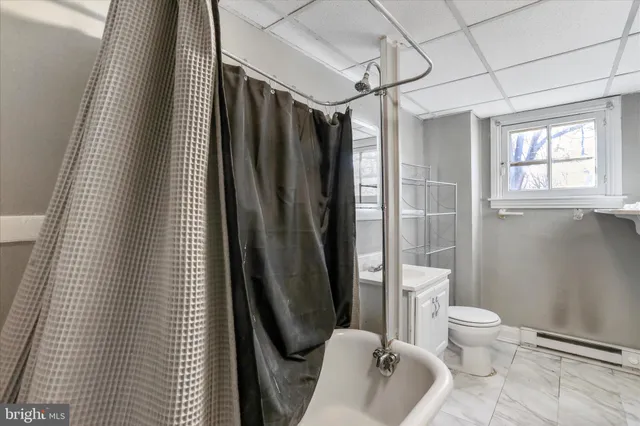 a view of a yard with plants and trees